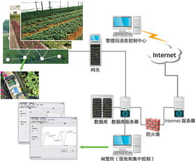 浙江省慈镇特色农业的推动者 智慧农业种植技术与联网信息互动服务